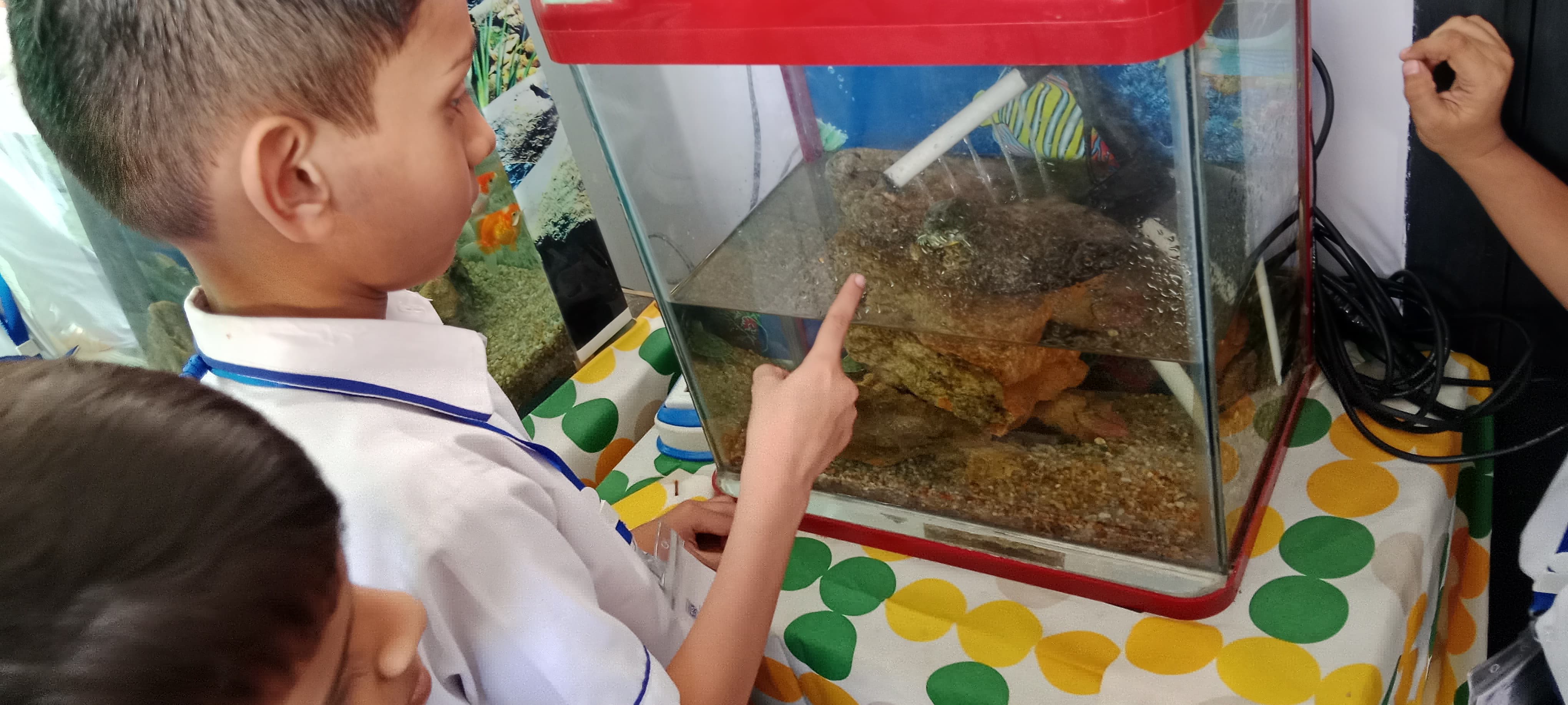 12th-Nov-NATURE-WALK - 22c612a2 3c79 4f2c Ae41 821d11e388cc