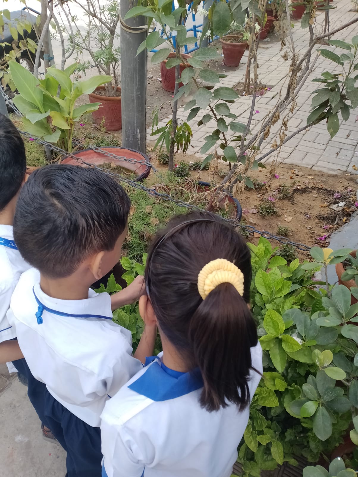 12th-Nov-NATURE-WALK - 57eb551b 9296 4bc8 B826 C98e70747beb