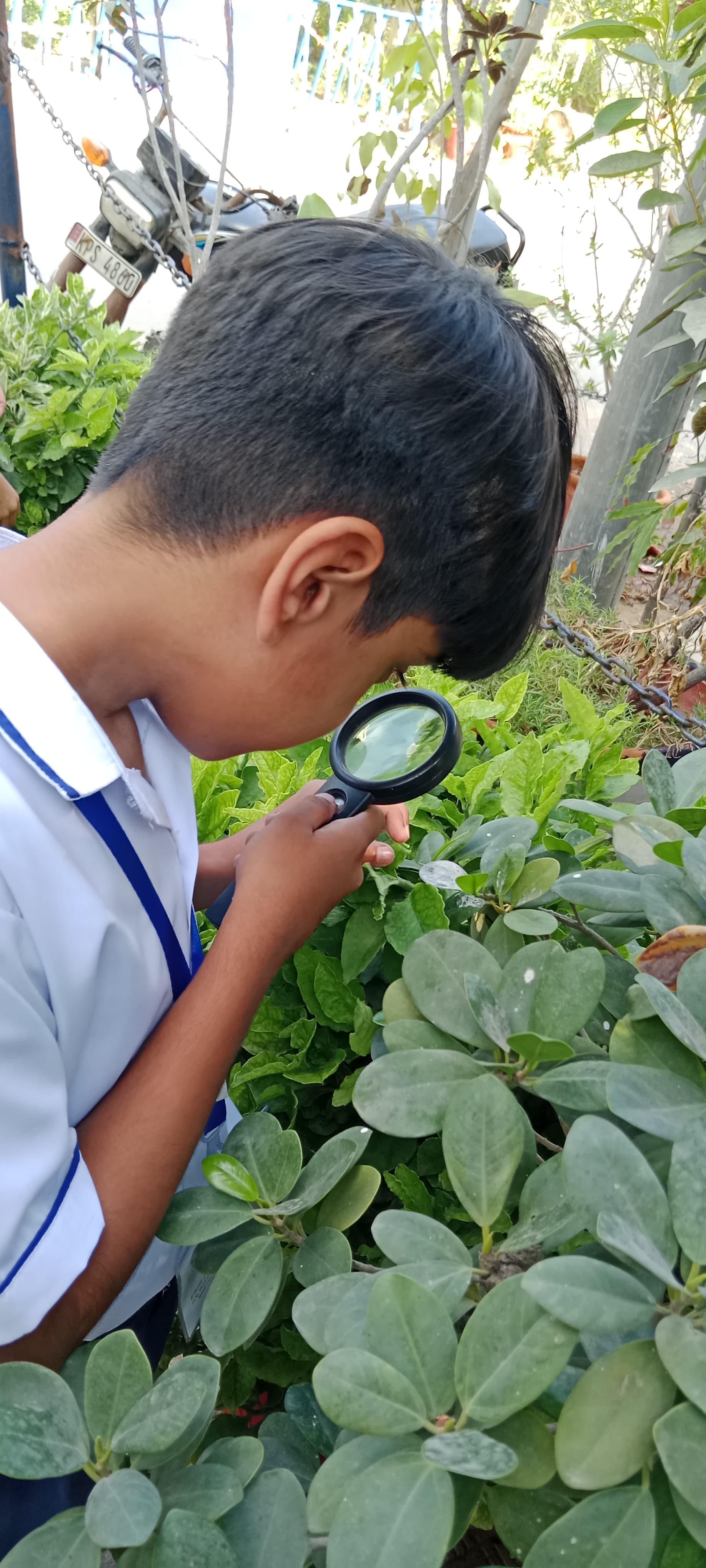 12th-Nov-NATURE-WALK - A2accd08 50e5 4888 A574 3efc224bc49b