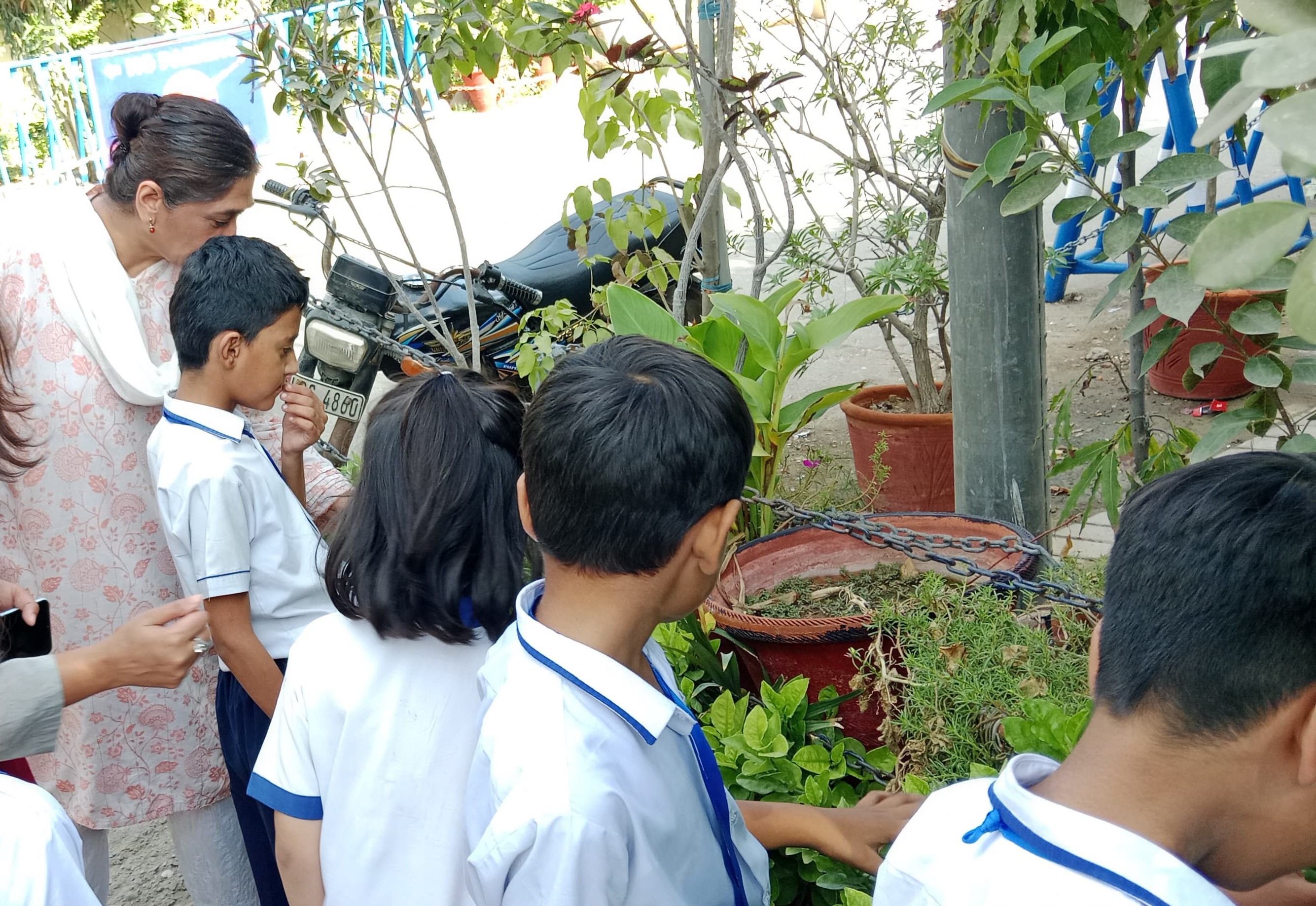 12th-Nov-NATURE-WALK - F154f894 C0e9 4039 B142 53d147faa0ce