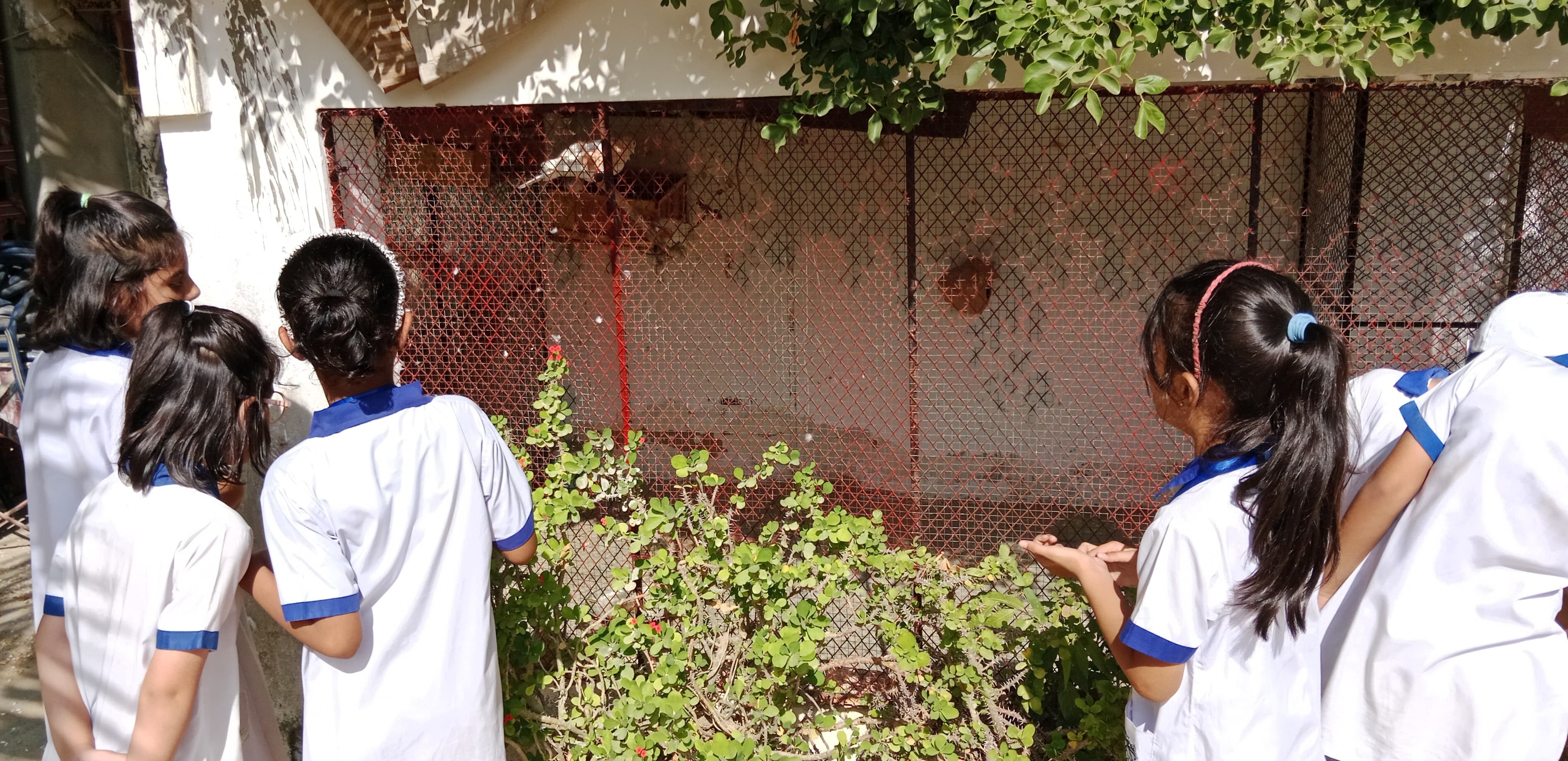 12th-Nov-NATURE-WALK - 1695c5fa E8ac 41f0 8e27 80f12077c3fe