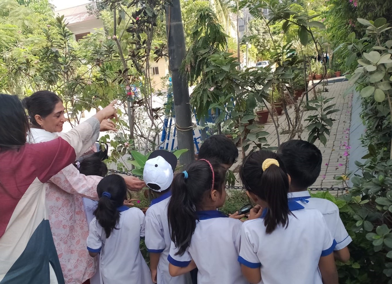 12th-Nov-NATURE-WALK