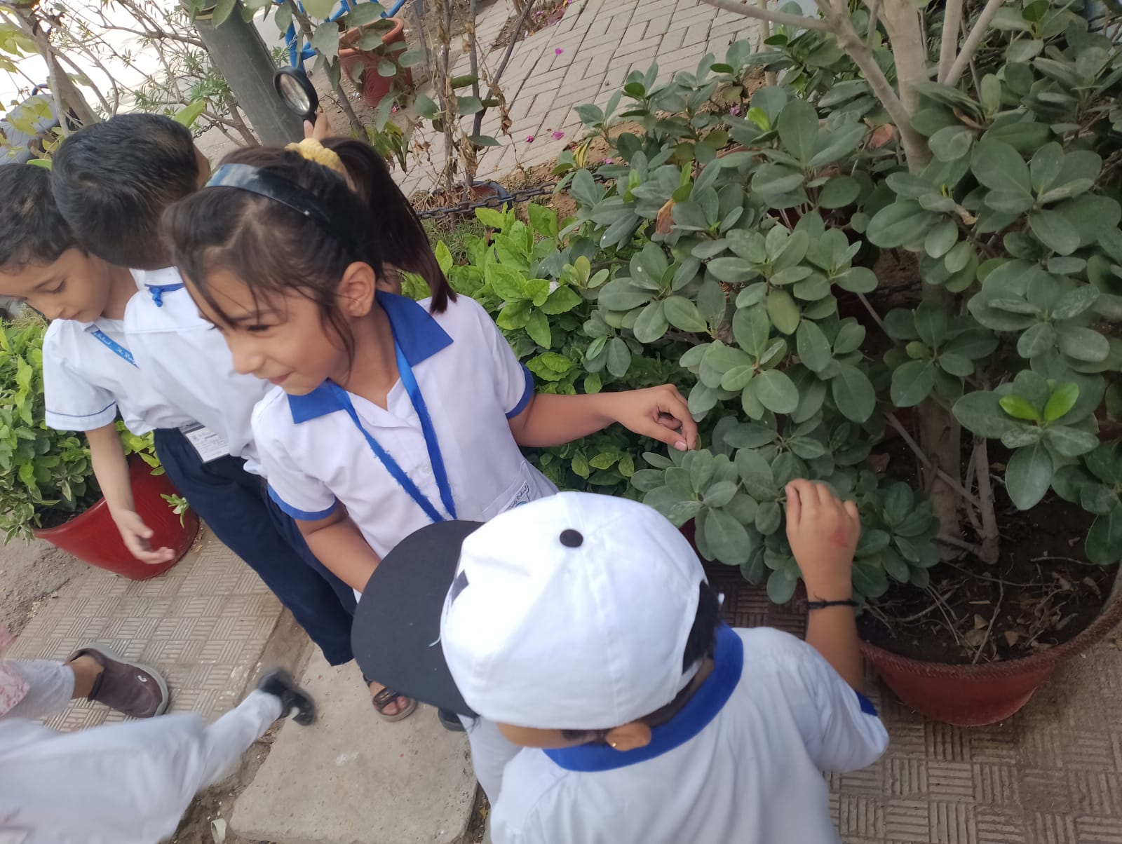 12th-Nov-NATURE-WALK - 2b8b641c 17f7 4d9d 92fc A9a8e4cc277d