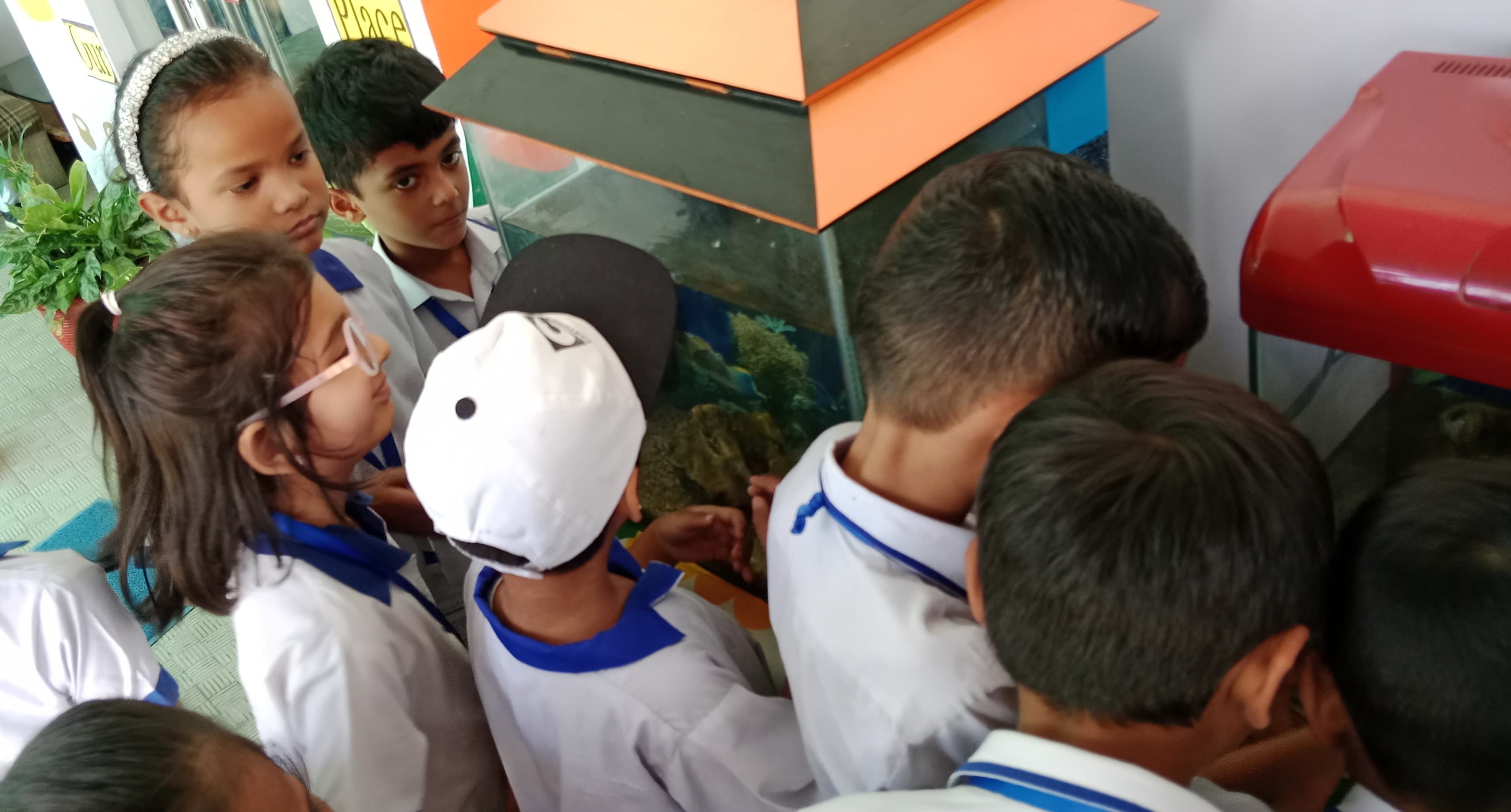 12th-Nov-NATURE-WALK - 39fe9df2 191d 44e3 9162 C4e715e7227d