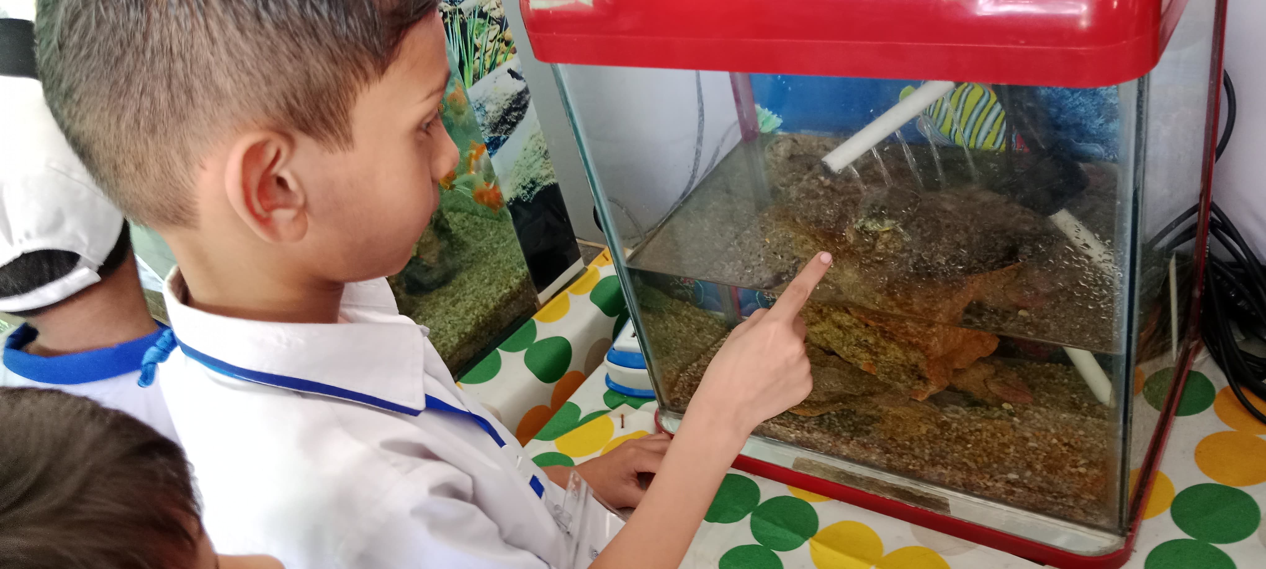 12th-Nov-NATURE-WALK - 43405626 Bedf 4830 B0be B644a3d73abb