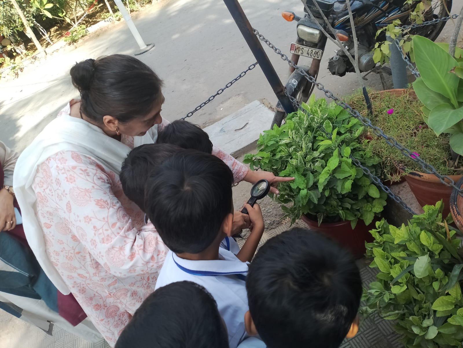 12th-Nov-NATURE-WALK - 567caf3f 5dc1 4a0f 9b0d 08f816273598