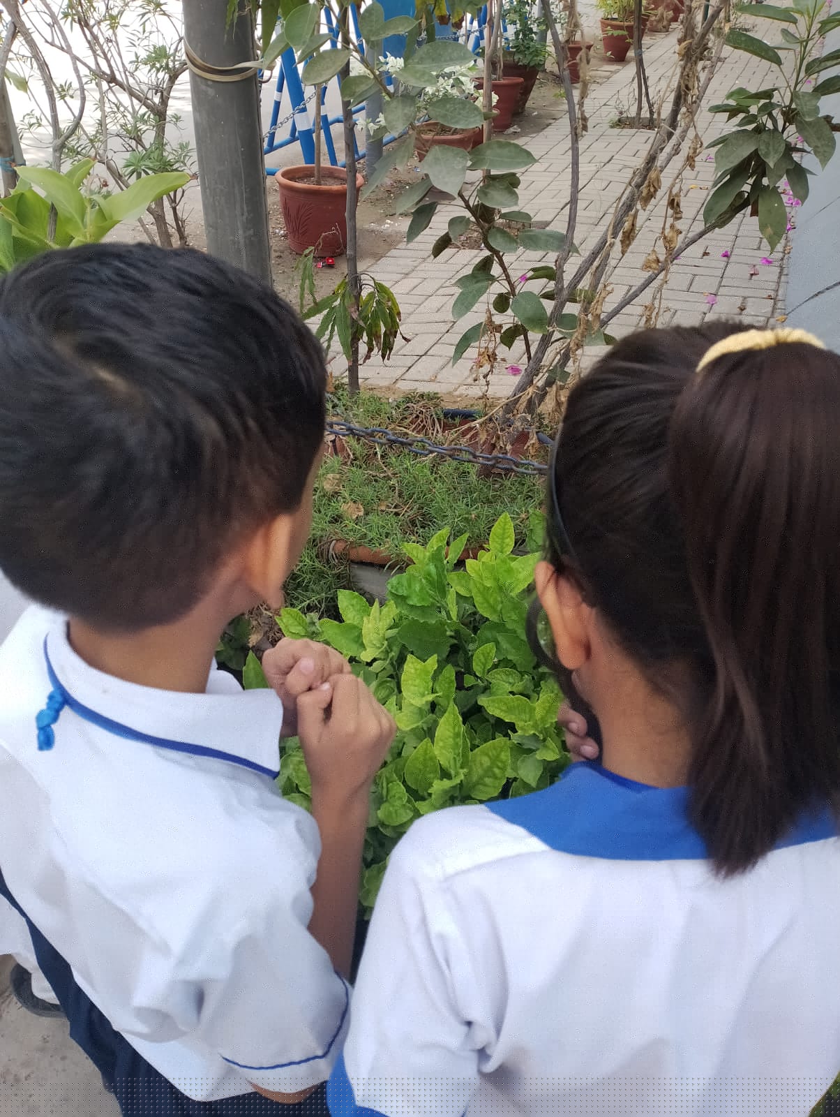 12th-Nov-NATURE-WALK - 5a592ede Cb5d 4175 Abd1 Fc1df1b4f8fe