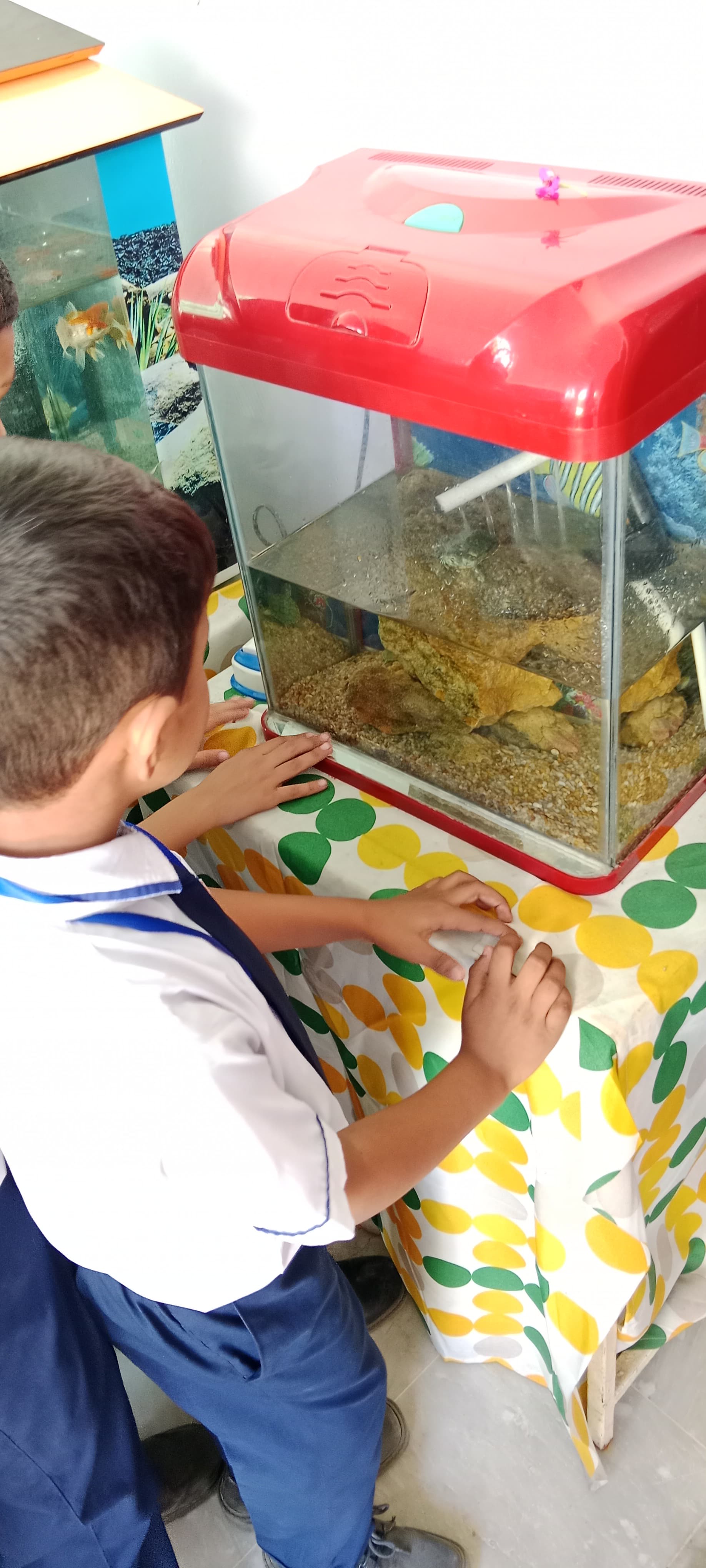 12th-Nov-NATURE-WALK - 72c603b8 5f3b 45bc 9bc8 5f4e7e1f3619