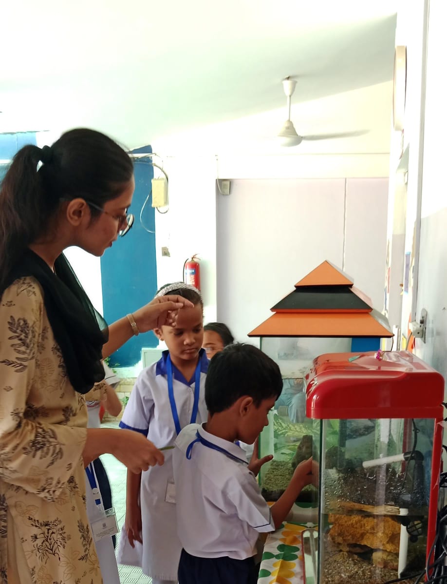 12th-Nov-NATURE-WALK - 73764efb Aa45 48cc 9ace 616a6cd61683