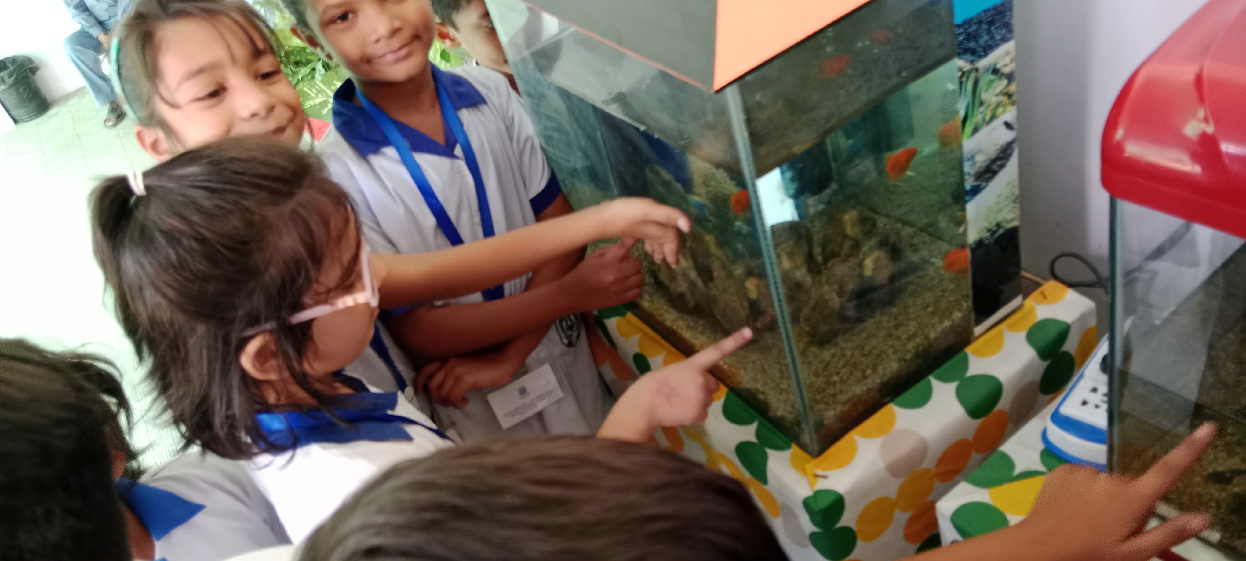 12th-Nov-NATURE-WALK - 892704c0 6de4 4adb 8ede 9b50c1c74fbf