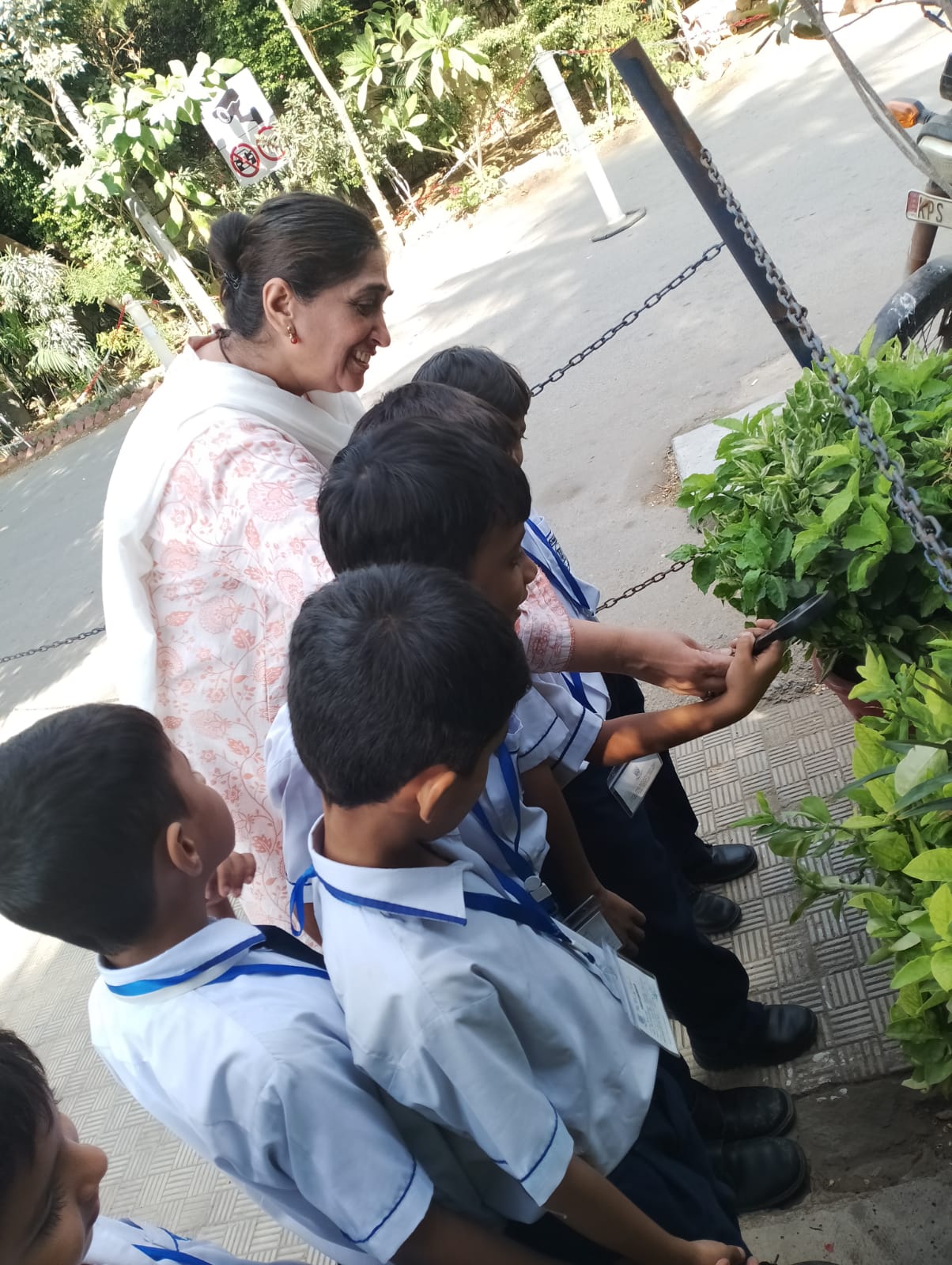 12th-Nov-NATURE-WALK - B6a27bed 89fb 415c B1c1 635ea3a1ddbc