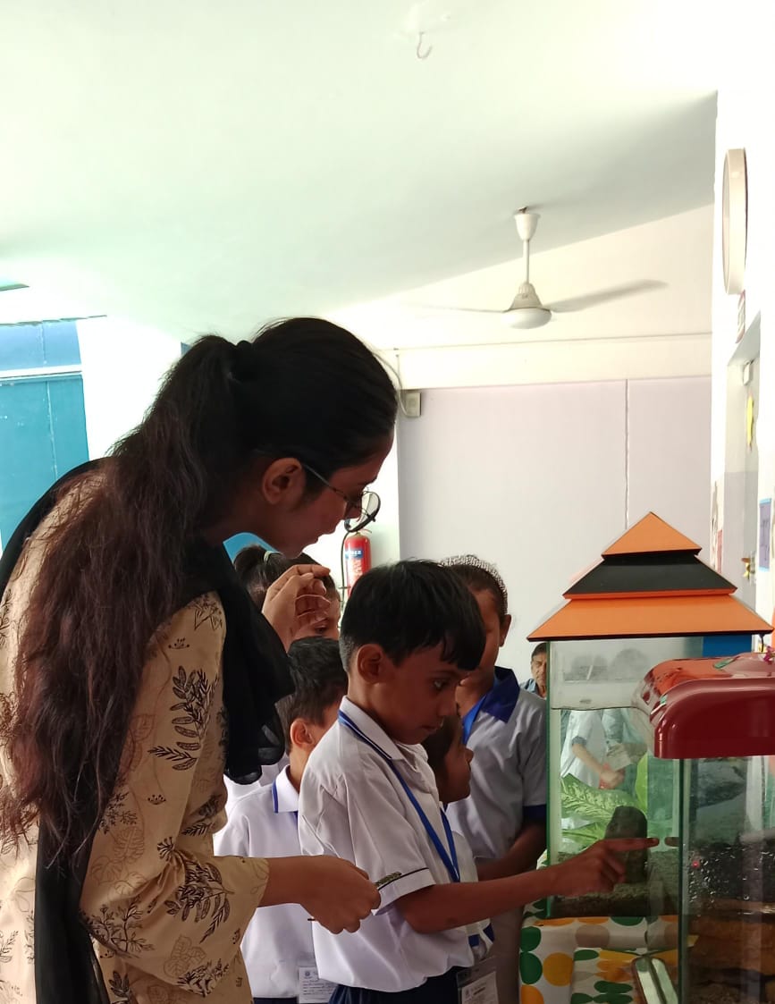 12th-Nov-NATURE-WALK - Bd7aa3d1 Acaa 4b7c B342 D1008cdb1de7