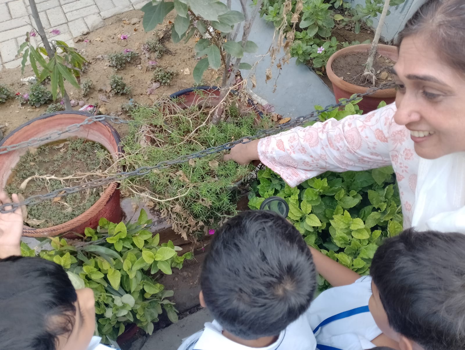 12th-Nov-NATURE-WALK - C0a6412e 3d6b 4126 8e0c Eb32074dd6f7