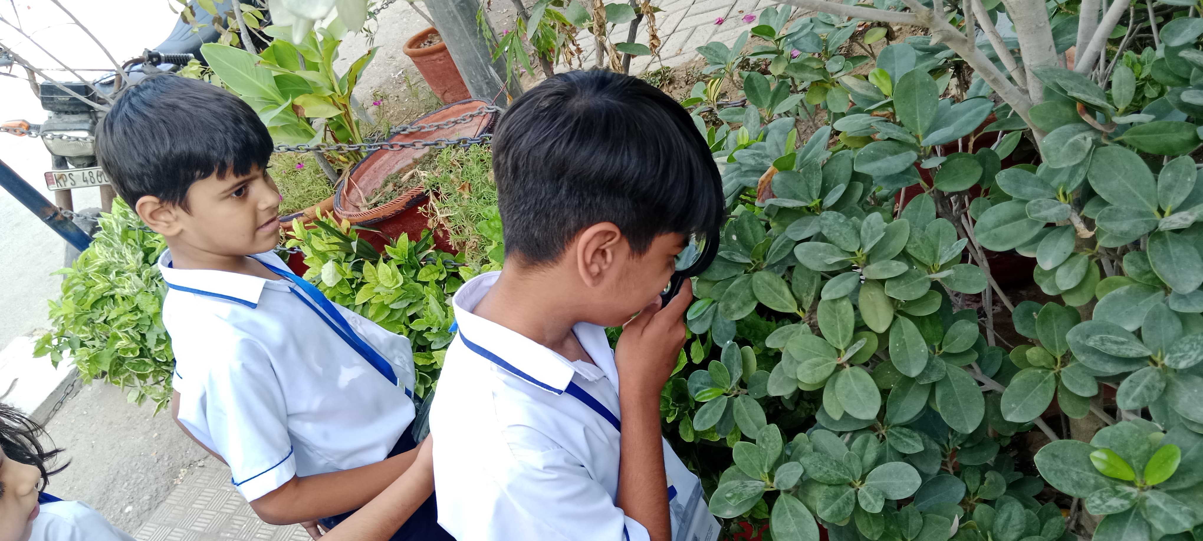 12th-Nov-NATURE-WALK - D6ff79b0 Bf70 459c Aee5 E035de06aea3