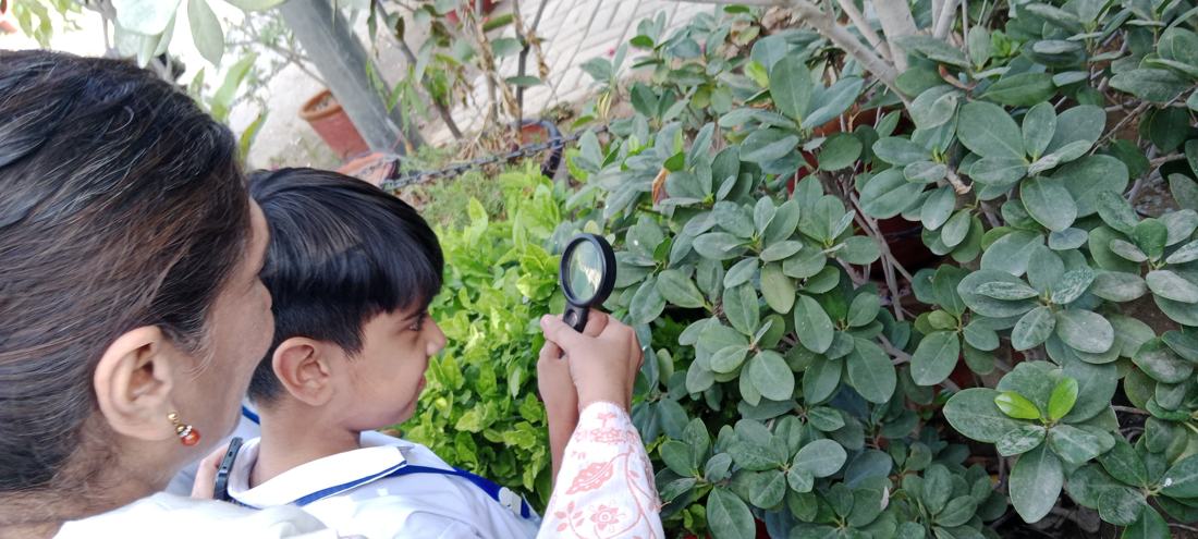A student studying leaves with a magnifying glass on a nature walk